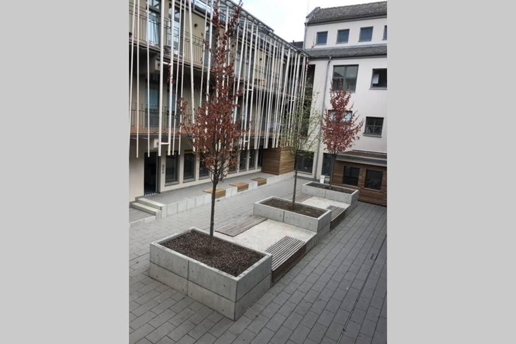 Central, Modern, Mit Grossem Balkon Checkin123 Wiesbaden Exterior foto